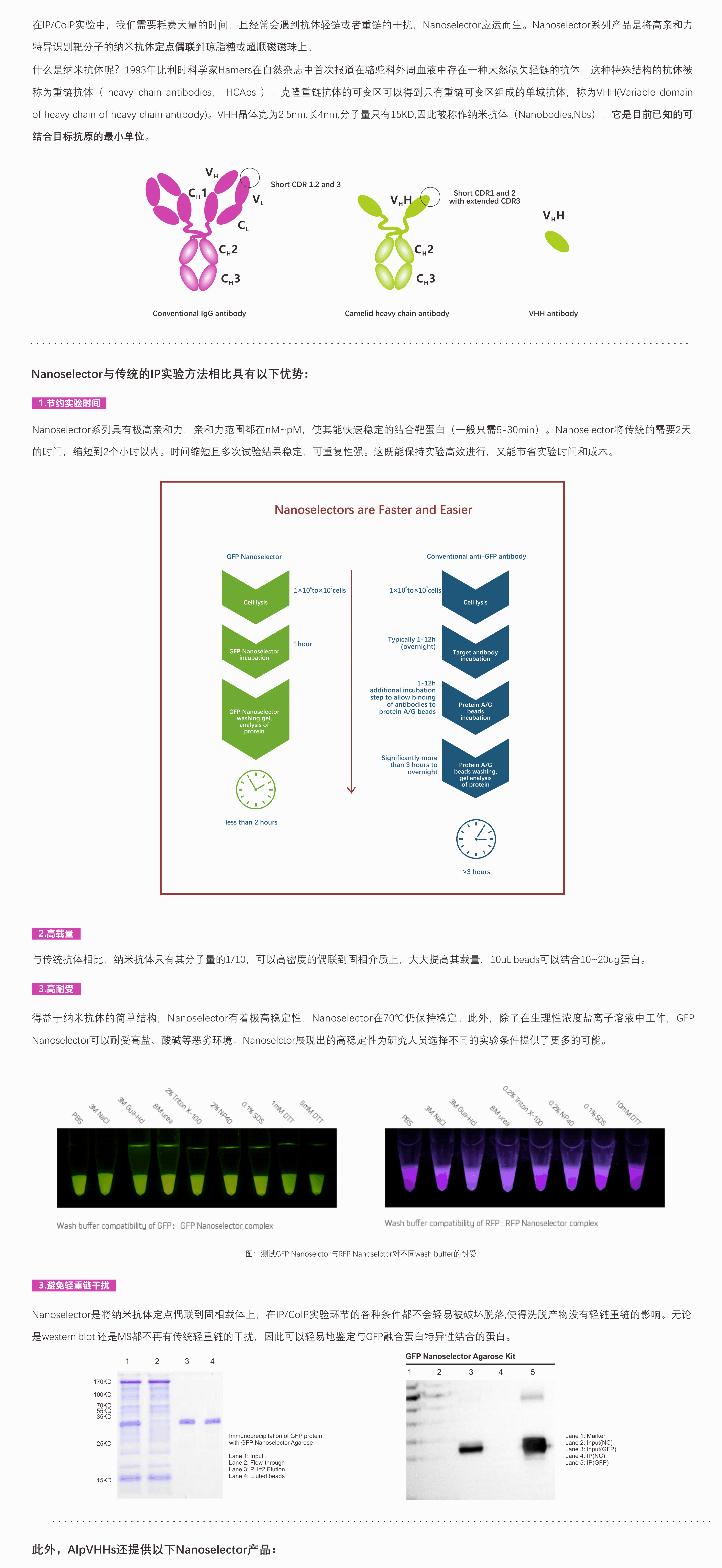 网站资料--Nanoselector.png