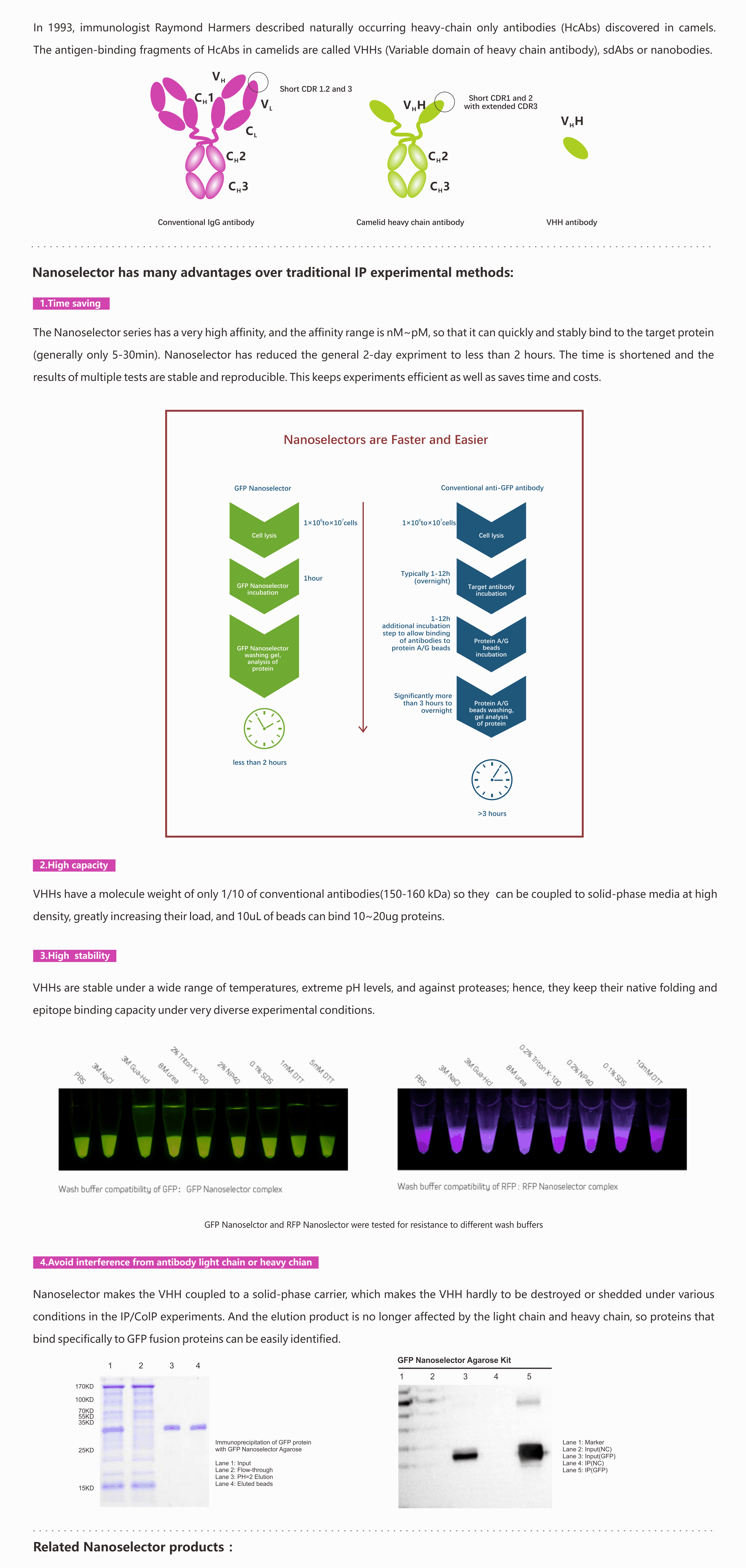 Nanoselector 让IP CoIP实验更省心（英文版）.png