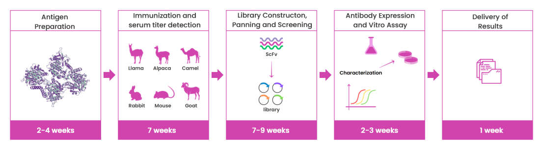 20250709165015102.png 43fd72c0-02fa-4a08-987f-451e2e6cfe4e.png