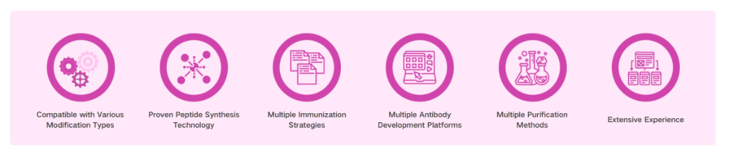 20250709165224185.png 28f9ef79-049e-4ecc-9670-c5127a13dba3.png