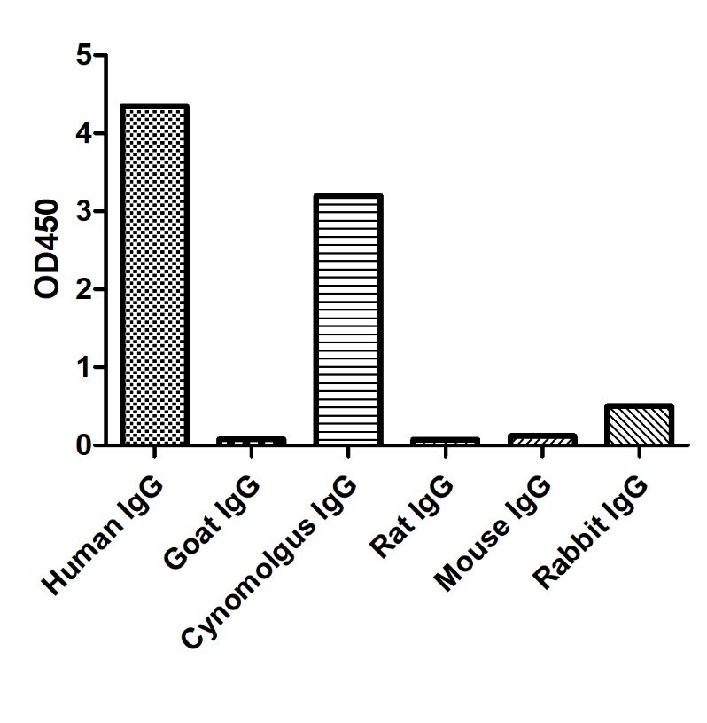 ELISA of specificity for different species of IgG-Anti-Human IgG(Fcγ fragment specific), AlpSdAbs® VHH(Biotin)  