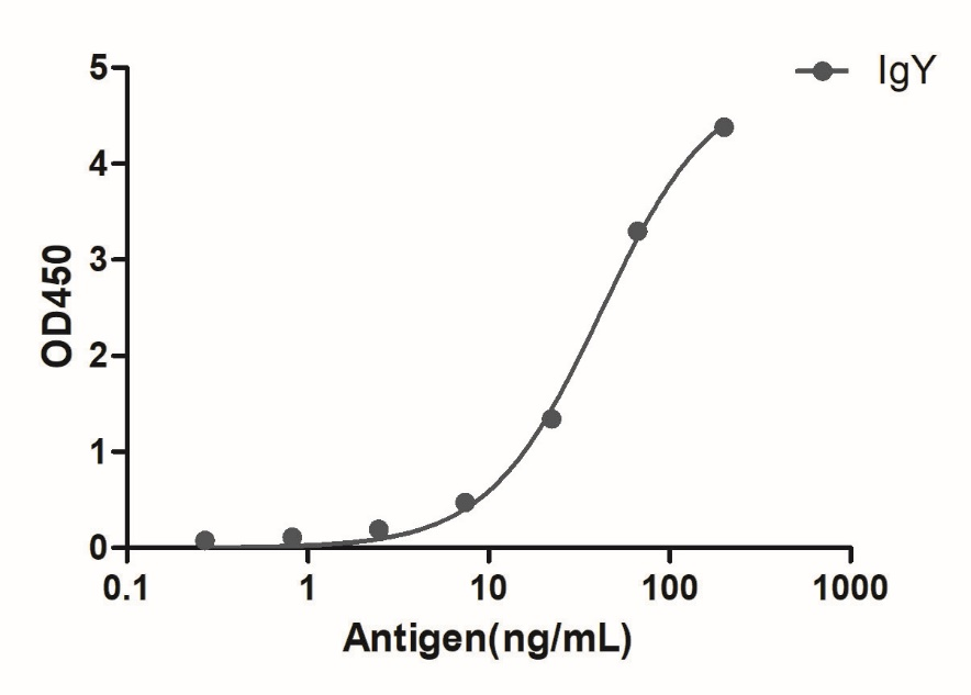 A titer ELISA of chicken IgY-Anti-Chicken IgY, AlpHcAbs® Goat antibody  