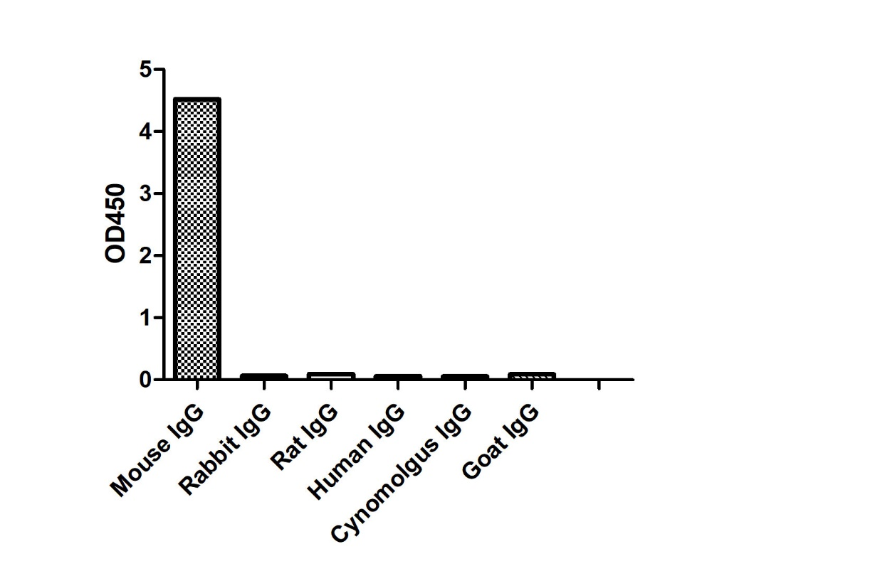 ELISA of specificity for different species of IgG-Anti-Mouse IgG(Fcγ Fragment specific), AlpSdAbs® VHH(Biotin)  