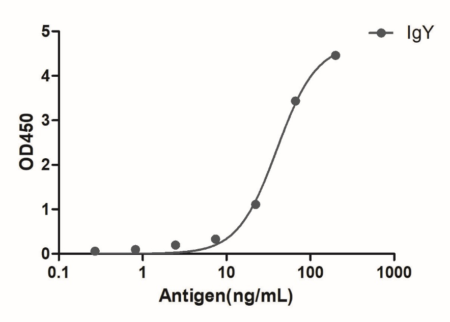 A titer ELISA of chicken IgY-Anti-Chicken IgY, AlpHcAbs® Goat antibody(HRP) 