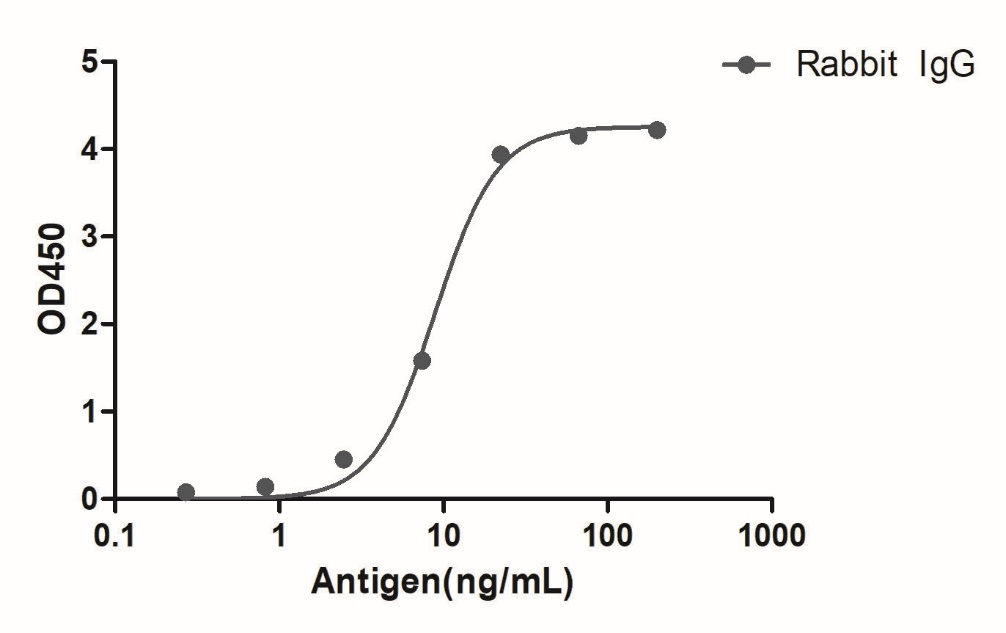 A titer ELISA of Rabbit IgG-Anti-Rabbit IgG(Fcγ Fragment specific), AlpSdAbs® VHH(HRP) 

