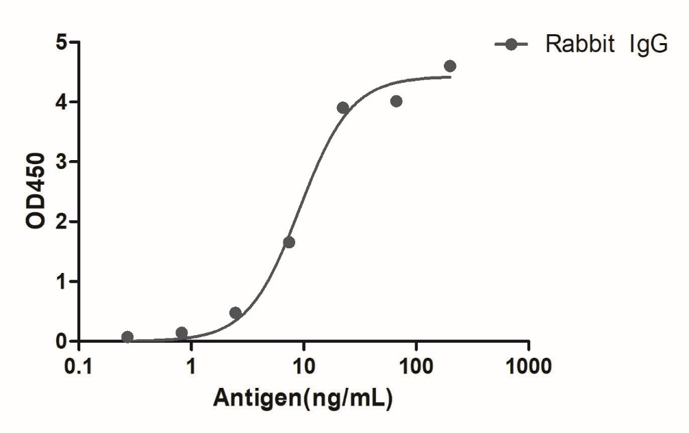 A titer ELISA of Rabbit IgG-Anti-Rabbit IgG(Fcγ Fragment specific), AlpHcAbs® Goat antibody(HRP) 