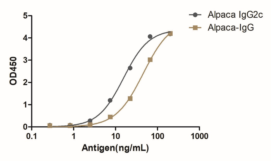 A titer ELISA of alpaca IgG2c-Anti-Alpaca IgG2c, AlpHcAbs® Rabbit antibody  