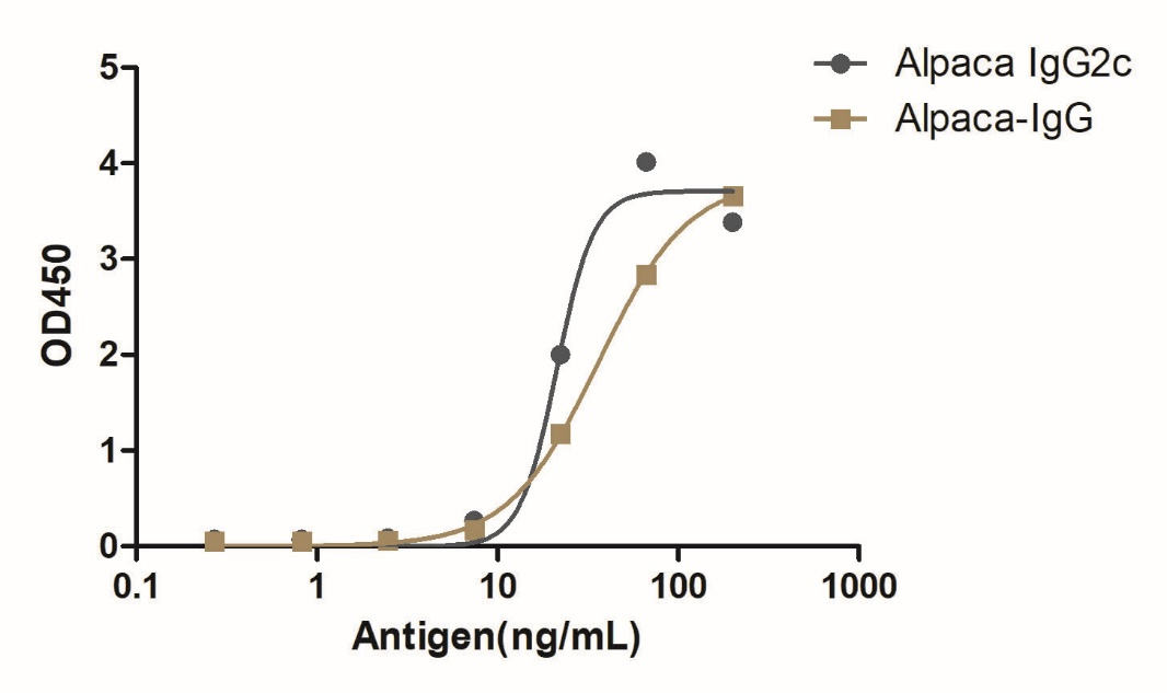 A titer ELISA of alpaca IgG2c-Anti-Alpaca IgG2c, AlpHcAbs® Rabbit antibody (HRP) 