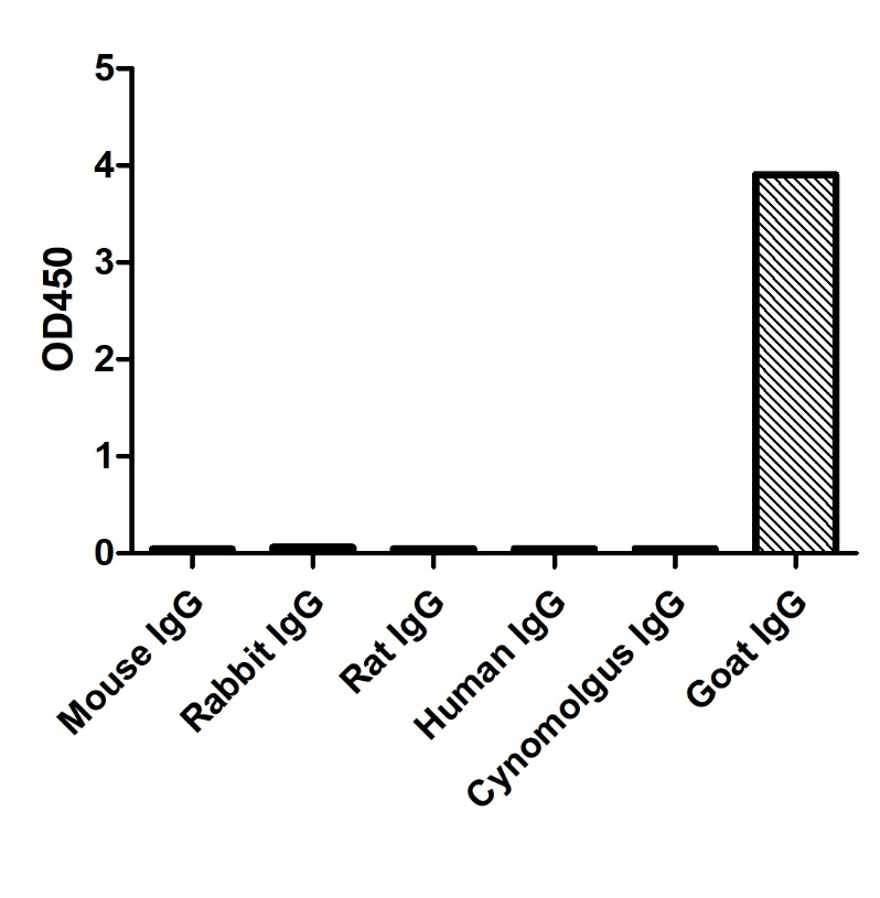 ELISA of specificity for different species of IgG-Anti-Goat IgG(Fcγ Fragment specific), AlpSdAbs® VHH  