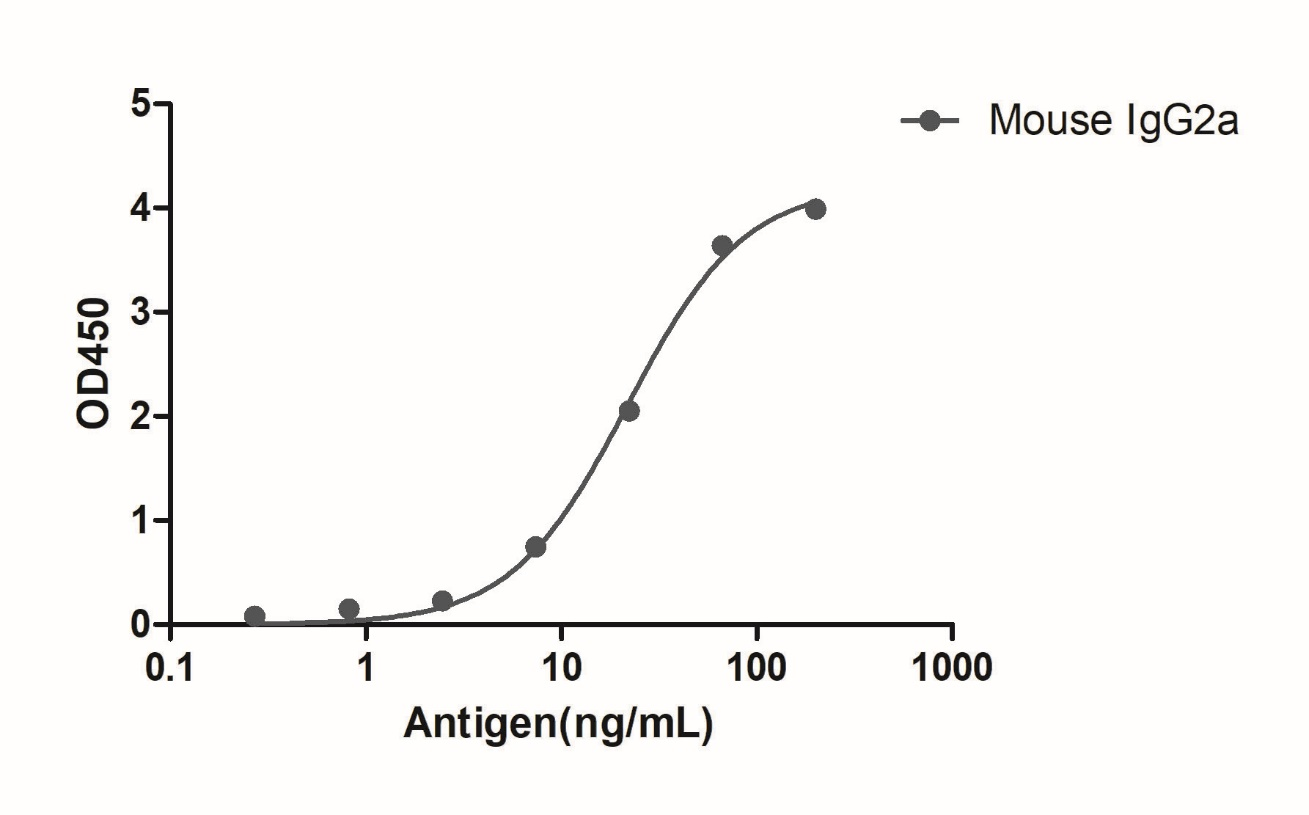 A titer ELISA of mouse IgG2a-Anti-Mouse IgG2a(Fcγ Fragment specific), AlpSdAbs® VHH  