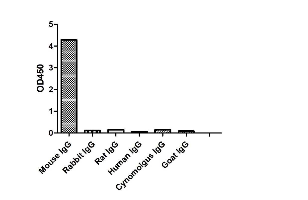 ELISA of specificity for different species of IgG-Anti-Mouse IgG2b(Fcγ Fragment specific), AlpSdAbs® VHH  