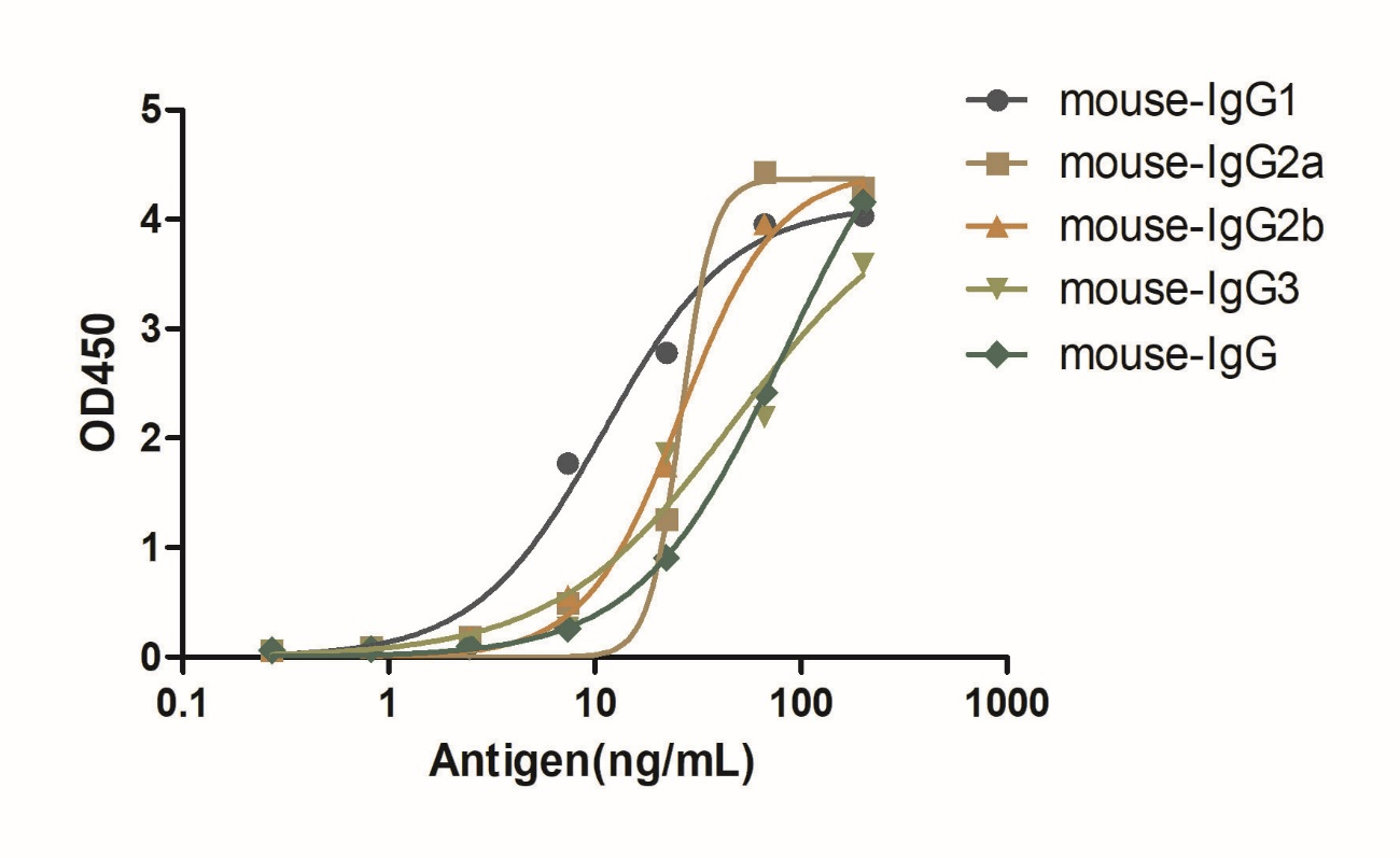 A titer ELISA of mouse IgG-Anti-Mouse IgG Kappa, AlpSdAbs® VHH(HRP) 