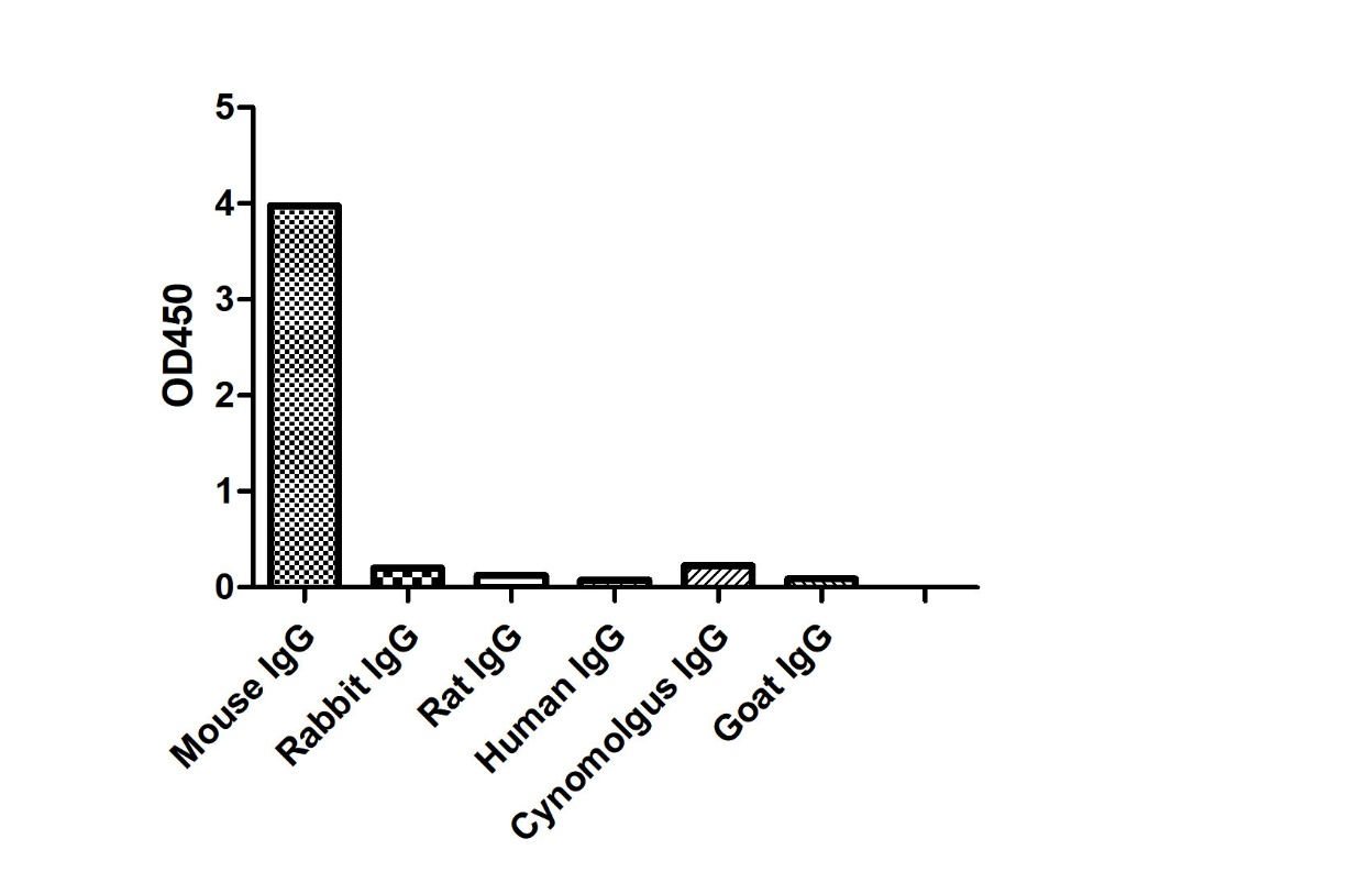 ELISA of specificity for different species of IgG-Anti-Mouse IgG1(Fcγ Fragment specific), AlpSdAbs® VHH  