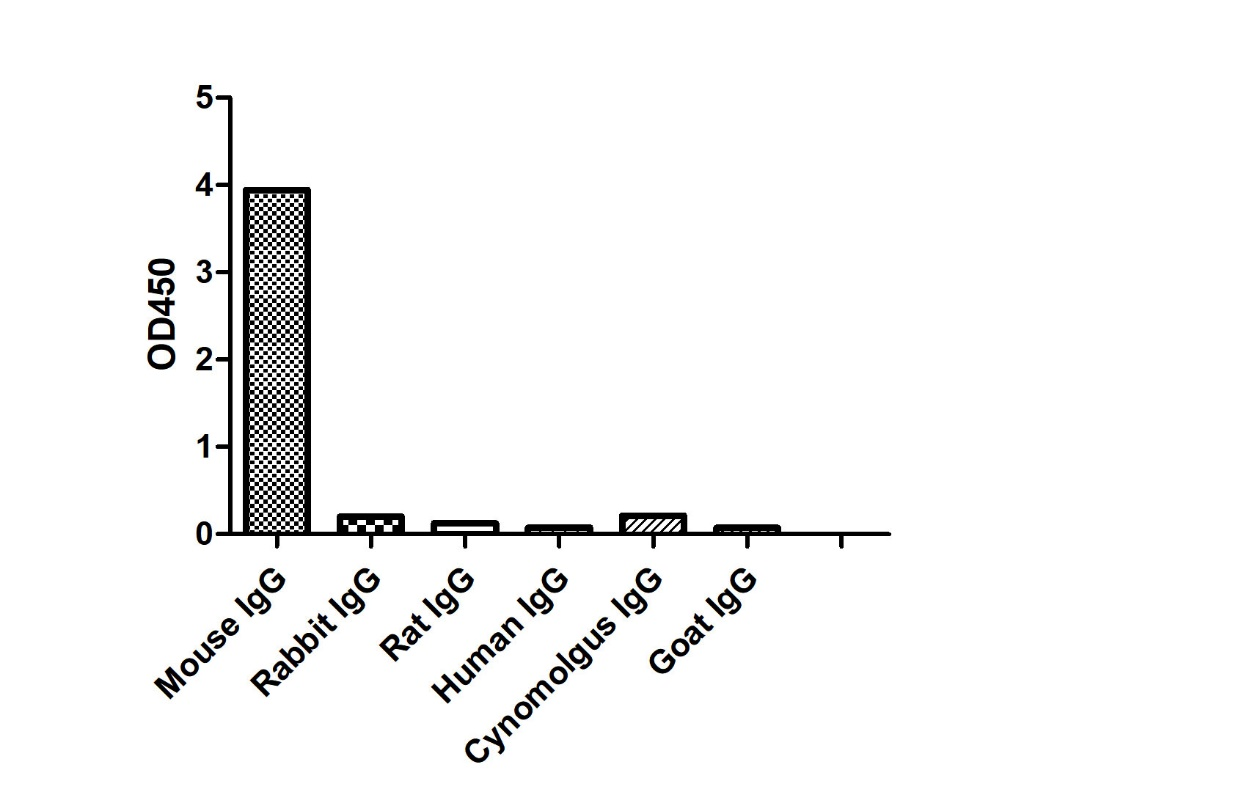 ELISA of specificity for different species of IgG-Anti-Mouse IgG1(Fcγ Fragment specific), AlpSdAbs® VHH(Biotin)  