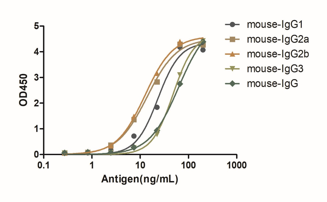 A titer ELISA of mouse IgG.  1:5000 dilution of Anti-Mouse IgG(H+L), AlpHcAbs® Goat antibody  