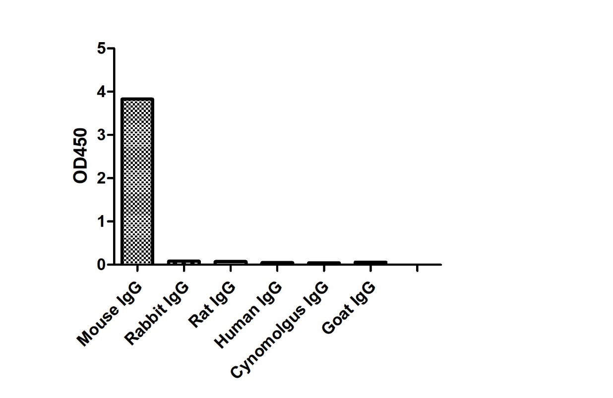 ELISA of specificity for different species of IgG-Anti-Mouse IgG(H+L), AlpHcAbs® Goat antibody(HRP) 

