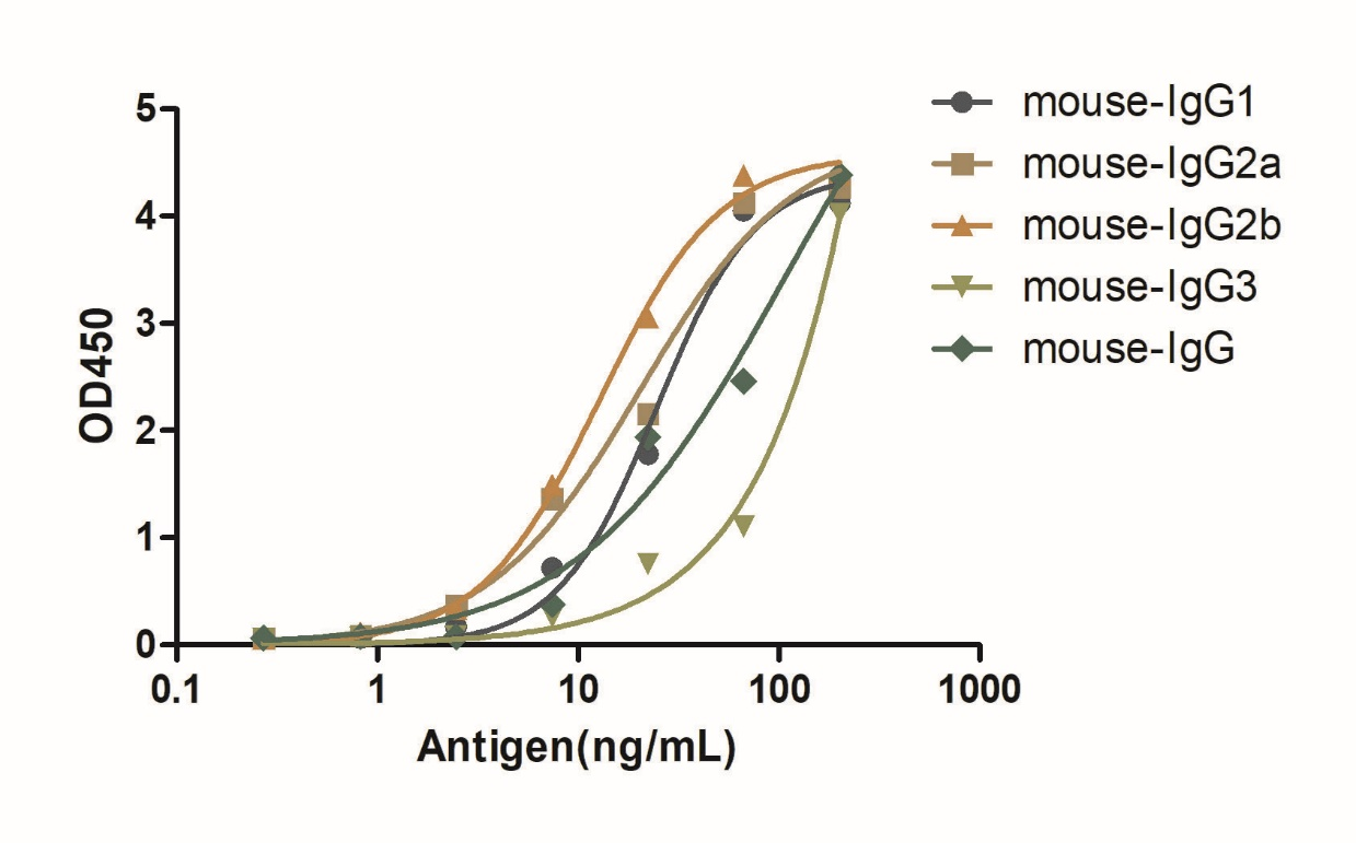 A titer ELISA of mouse IgG-Anti-Mouse IgG(Fcγ Fragment specific), AlpHcAbs® Goat antibody(Biotin)  