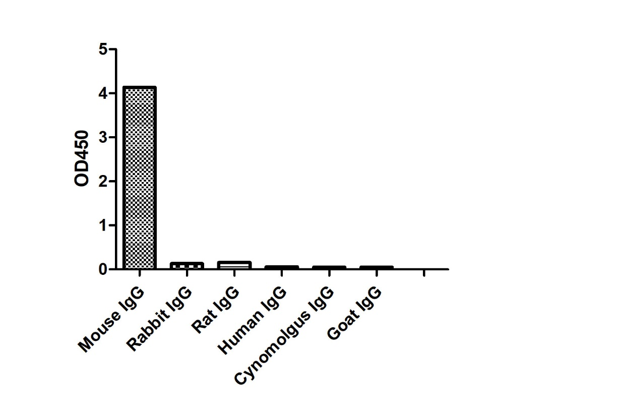 ELISA of specificity for different species of IgG-Anti-Mouse IgG(Fcγ Fragment specific), AlpHcAbs® Goat antibody(HRP) 