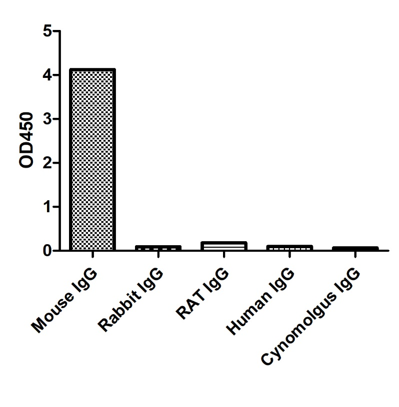 ELISA of specificity for different species of IgG-Anti-Mouse IgG2a(Fcγ Fragment specific), AlpHcAbs® Goat antibody  