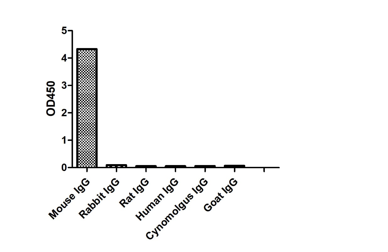 ELISA of specificity for different species of IgG-Anti-Mouse IgG2a(Fcγ Fragment specific), AlpHcAbs® Goat antibody(Biotin)  