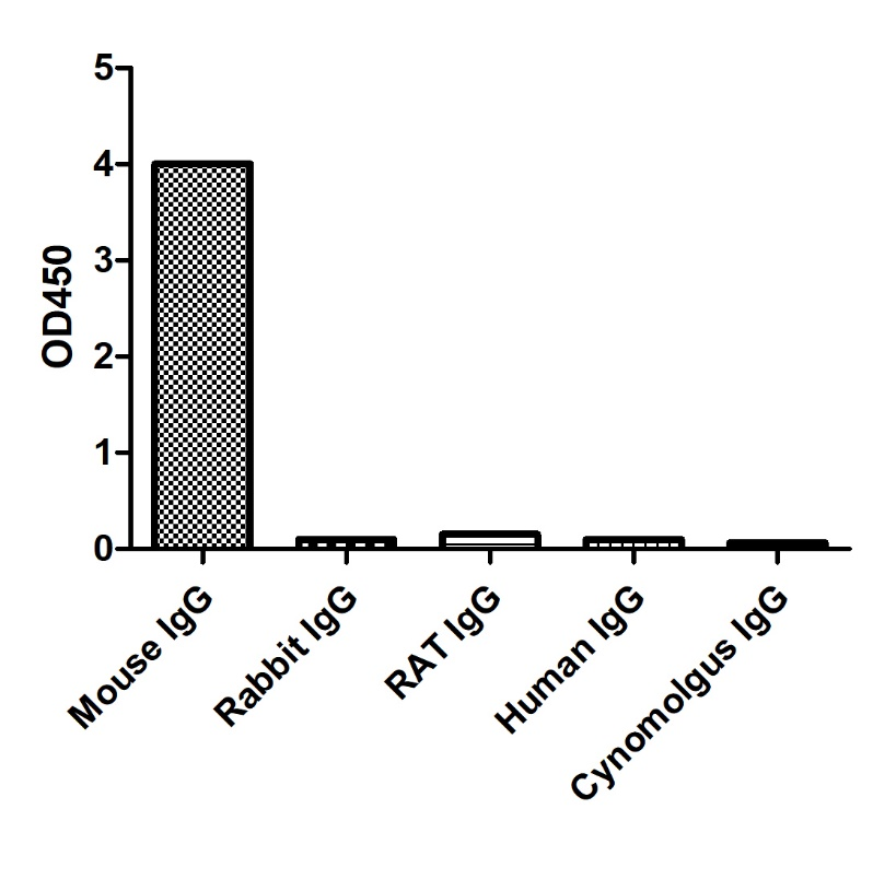 ELISA of specificity for different species of IgG-Anti-Mouse IgG2b(Fcγ Fragment specific), AlpHcAbs® Goat antibody  