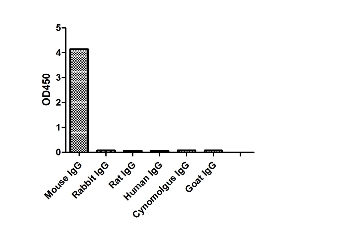 ELISA of specificity for different species of IgG-Anti-Mouse IgG2b(Fcγ Fragment specific), AlpHcAbs® Goat antibody(Biotin)  

