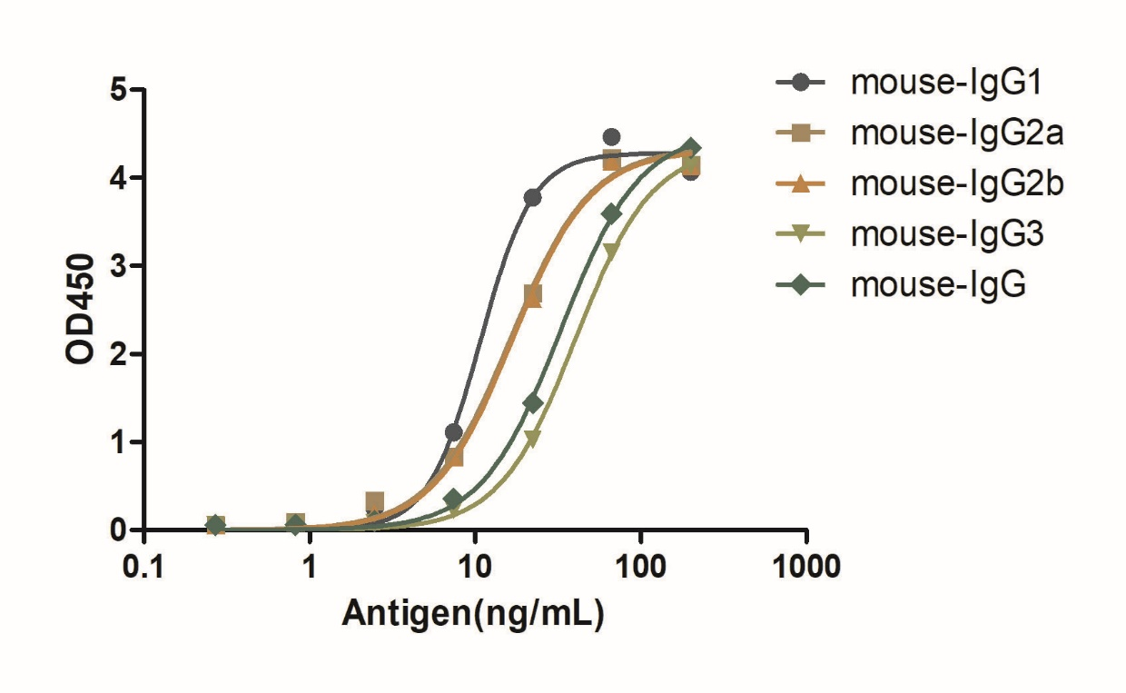 A titer ELISA of mouse IgG-Anti-Mouse IgG kappa, AlpHcAbs® Goat antibody(Biotin)  