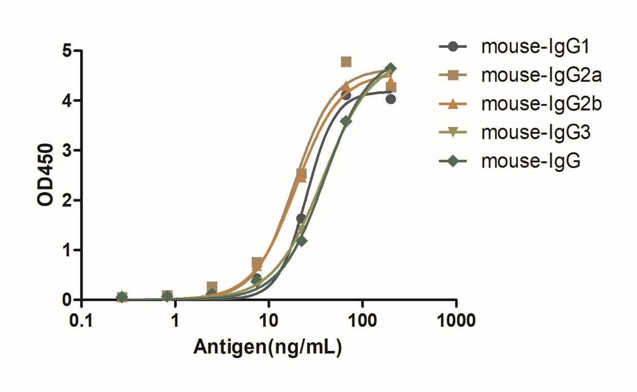 A titer ELISA of mouse IgG-Anti-Mouse IgG kappa, AlpHcAbs® Goat antibody(HRP) 