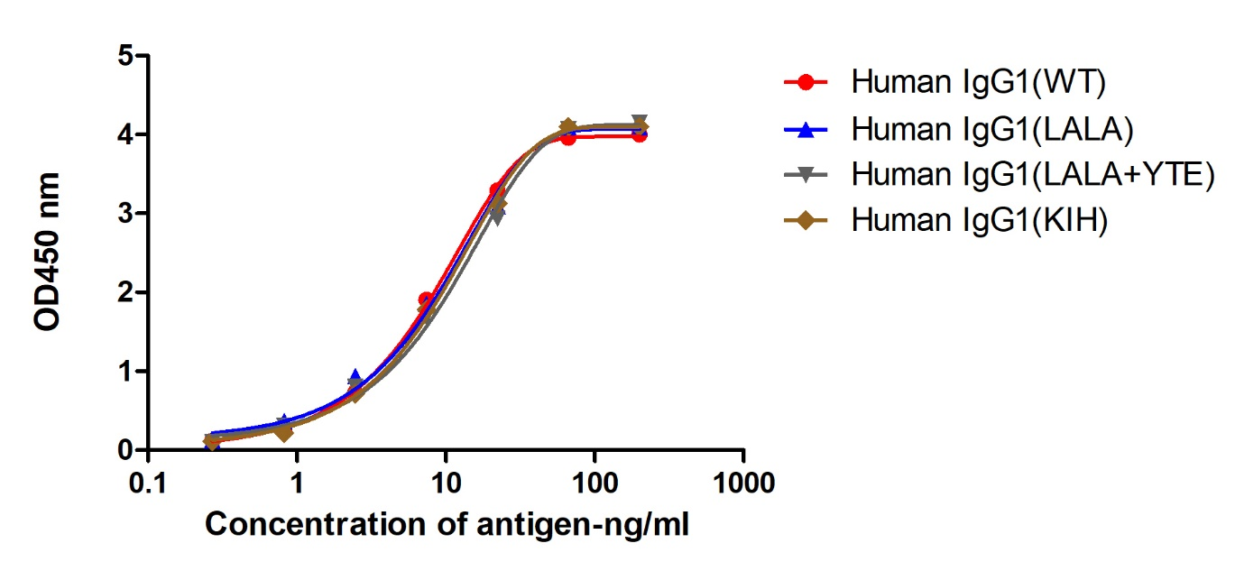 A titer ELISA of different mutation-Anti-Human IgG(Fcγ fragment specific), AlpSdAbs® VHH