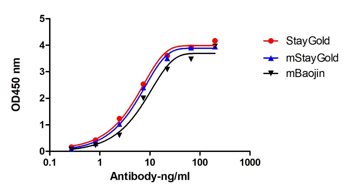 A titer ELISA of StayGold-Anti-StayGold, AlpHcAbs® Rabbit antibody